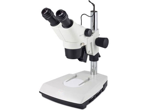 STEREO MICROSCOPES IN EDUCATION
