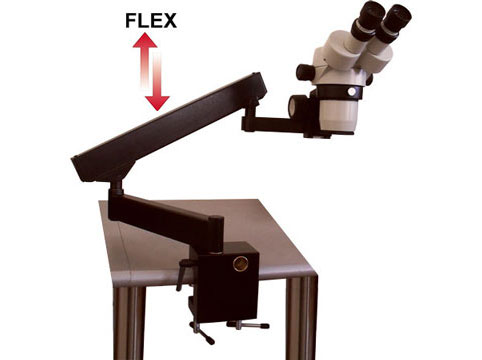 SMZ-168-BL - stereo microscopio zoom binoculare con ottica
